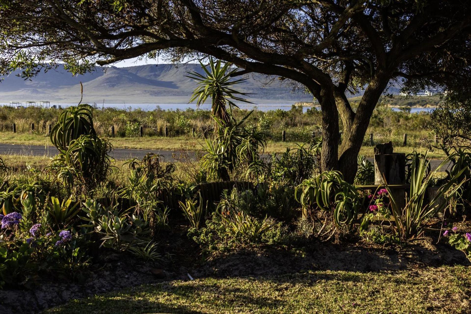 Fisherhaven Apartment Hermanus Exterior photo